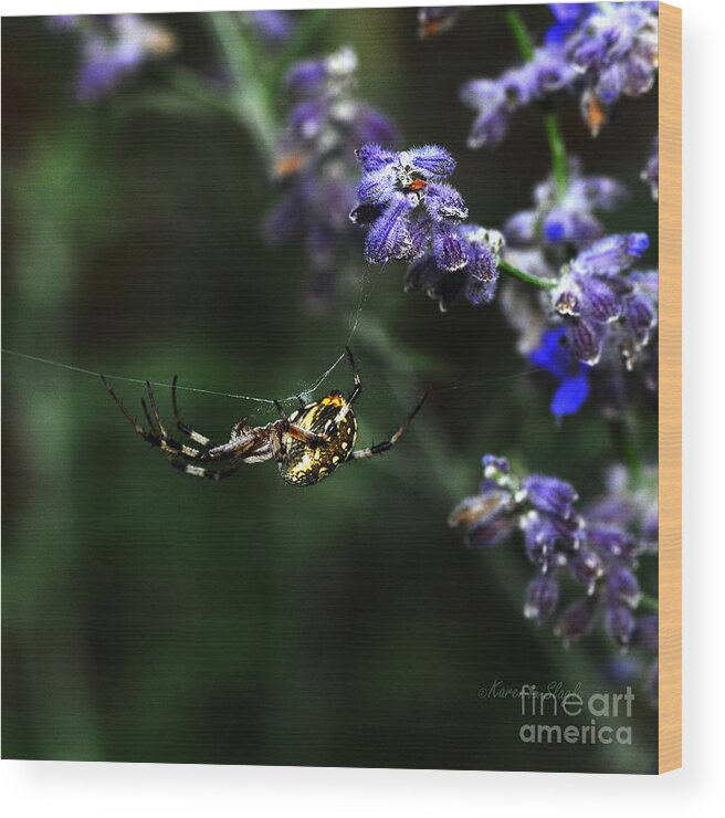 Insect Wood Print featuring the photograph Hanging by a Thread by Karen Slagle