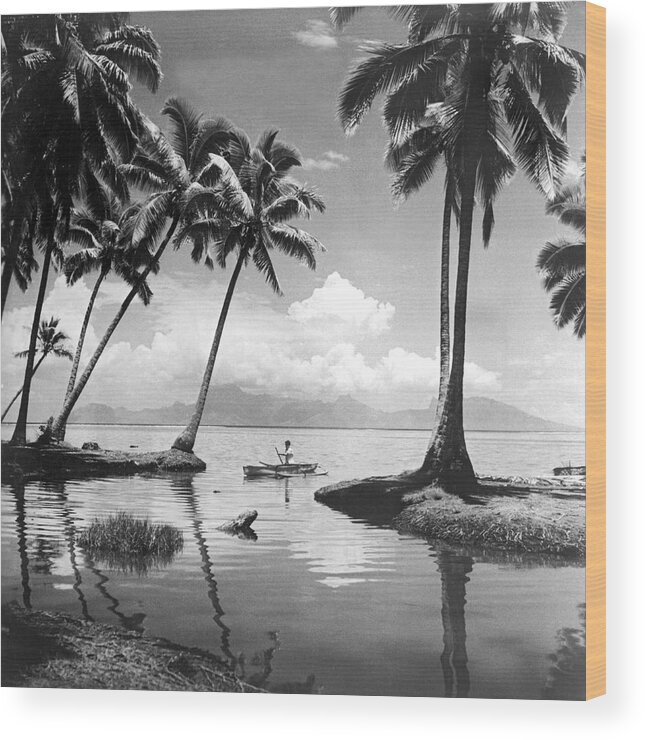 1940 Wood Print featuring the photograph Hawaii Tropical Scene by Underwood Archives