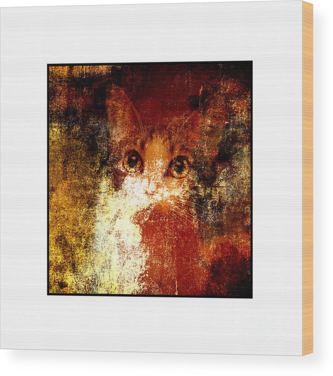 Abstract Wood Print featuring the photograph Hidden Square White Frame by Andee Design