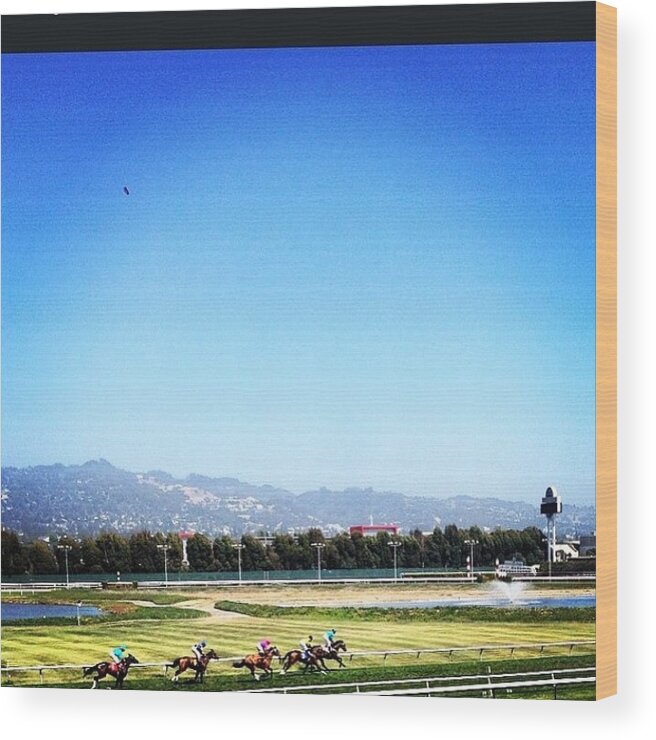 Goldengatefields Wood Print featuring the photograph Horse Races #goldengatefields by Mike Lowry