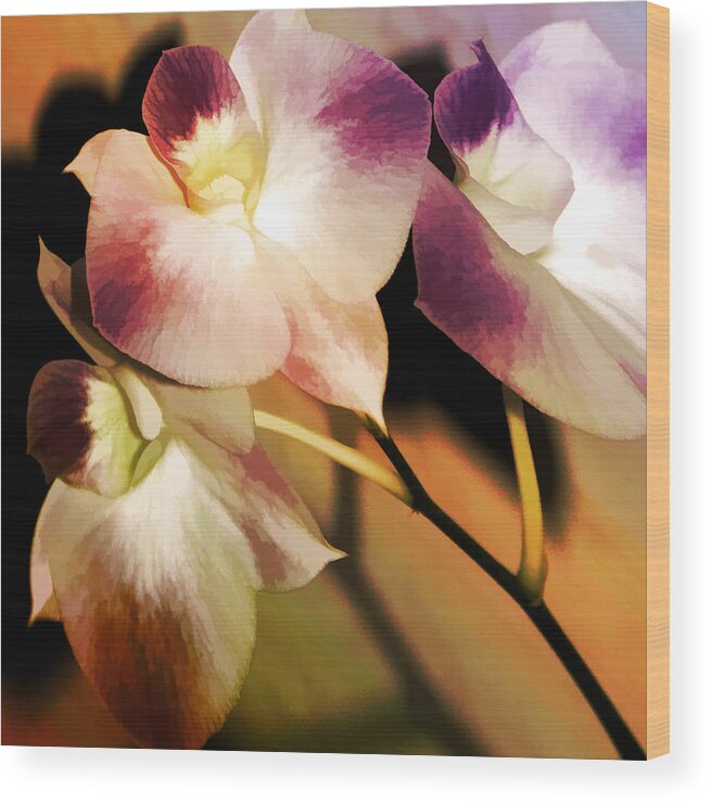 Floral Wood Print featuring the photograph Hot Orchid Nights by Holly Kempe