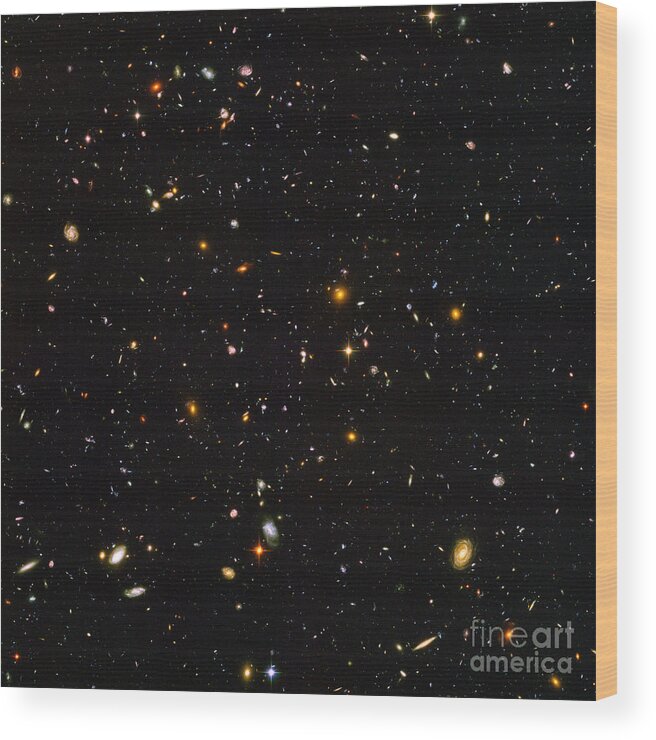 Galaxy Wood Print featuring the photograph Hubble Ultra Deep Field Galaxies by Science Source