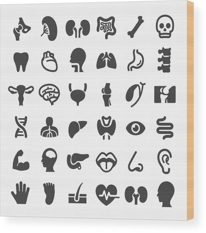 Human Lung Wood Print featuring the drawing Human Organ Icons - Big Series by -victor-