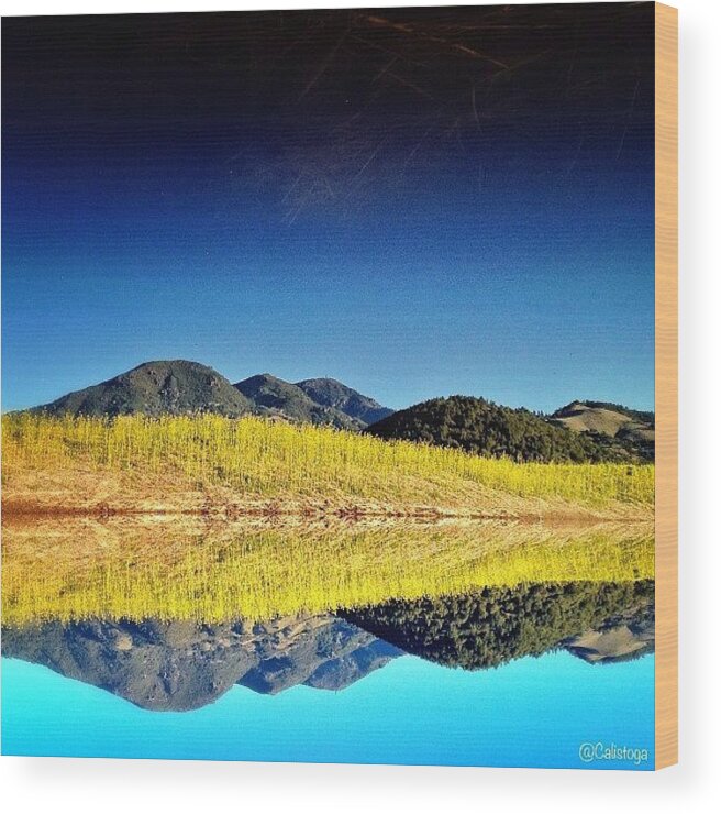 Calistoga Wood Print featuring the photograph “i Travel Not To Go Anywhere, But To by Peter Stetson
