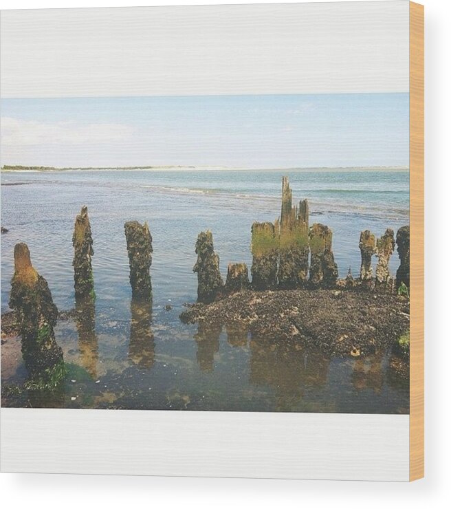 Summer Wood Print featuring the photograph 'i Was Swimming Through The Waves For by Josh Kinney