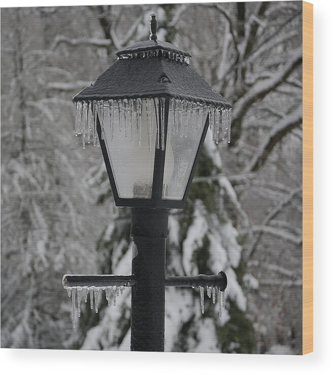 Icicle Wood Print featuring the photograph Icicles - Lamp Post 1 by Richard Reeve