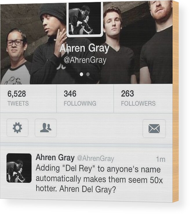  Wood Print featuring the photograph Im Being Funny On Twitter Go Follow Me by Ahren Gray