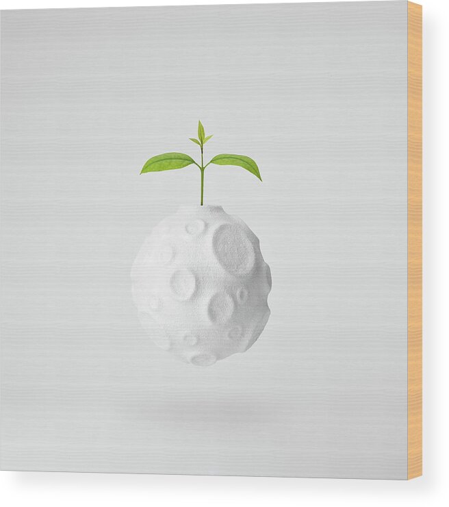 Planet Wood Print featuring the photograph In My World... by Jose Mar??a Frutos