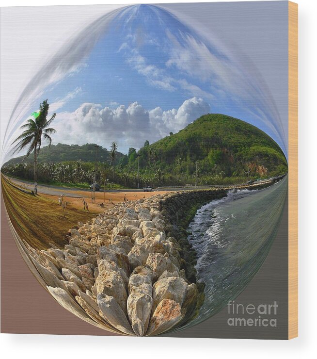 Miniature Worlds Wood Print featuring the photograph Island Portraits - Guam by Scott Cameron