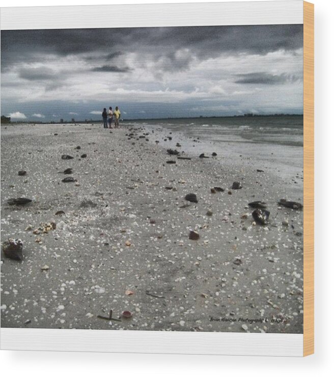  Wood Print featuring the photograph June 21, 2011, Thousands Of Shells by Brian Havican