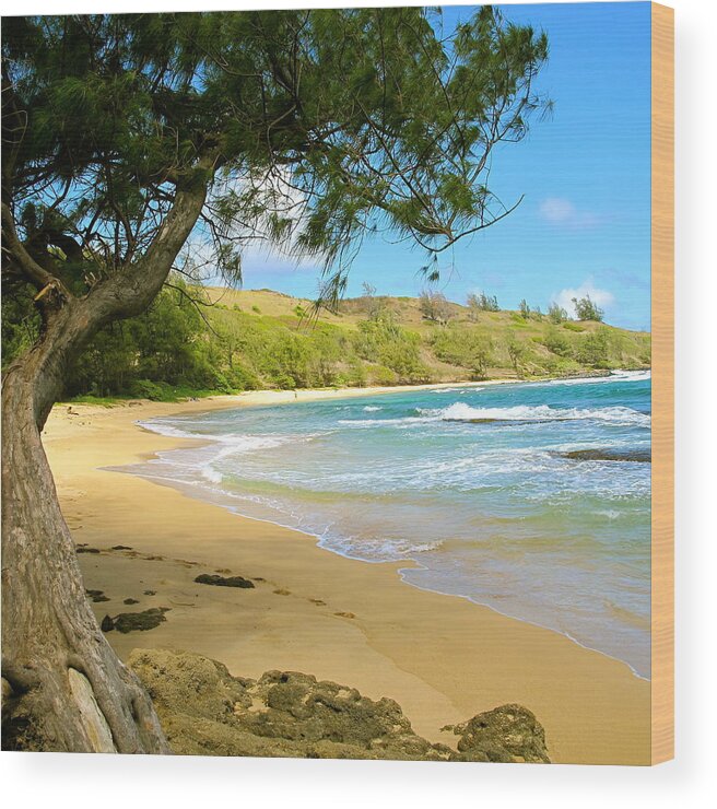 Tree Wood Print featuring the photograph Kauai Beach by Sue Morris