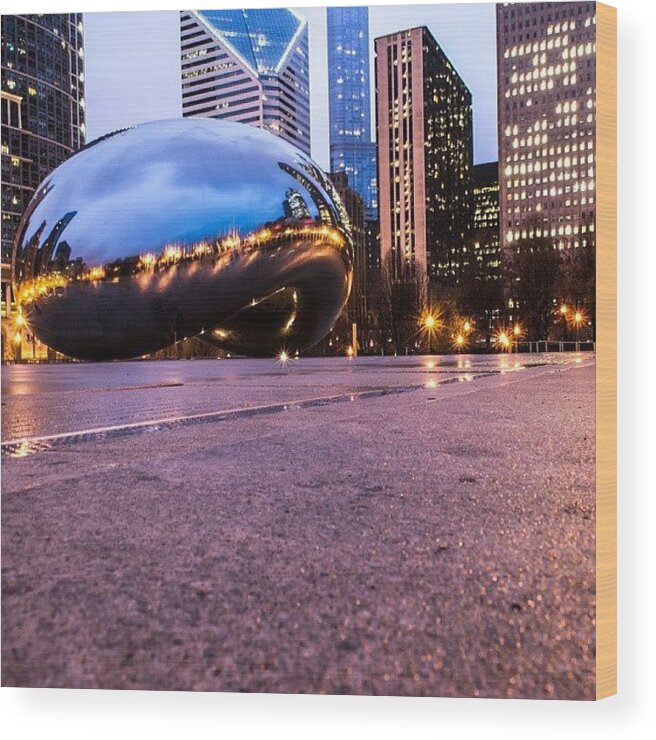 Thisischicago Wood Print featuring the photograph Last Bean by Graeme Curry