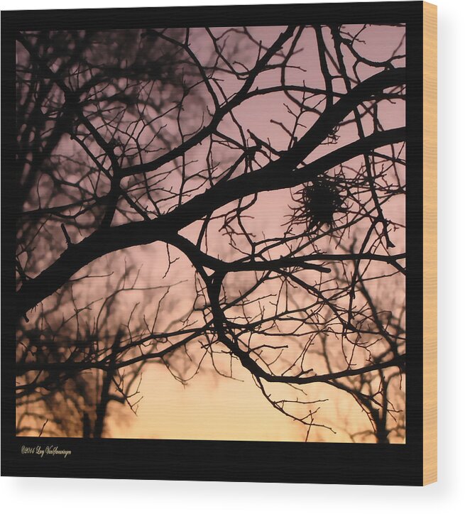 Sunset Canvas Print Wood Print featuring the photograph Last Light by Lucy VanSwearingen