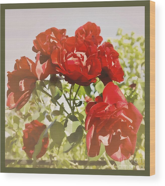 Red Wood Print featuring the photograph Late Summer Roses - Dreamy by Maria Janicki