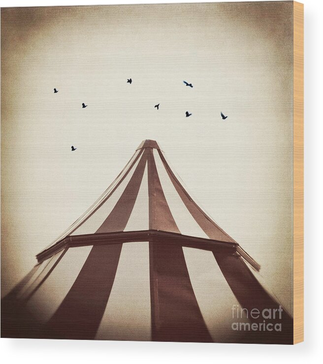 Birds Wood Print featuring the photograph Le Carnivale by Trish Mistric