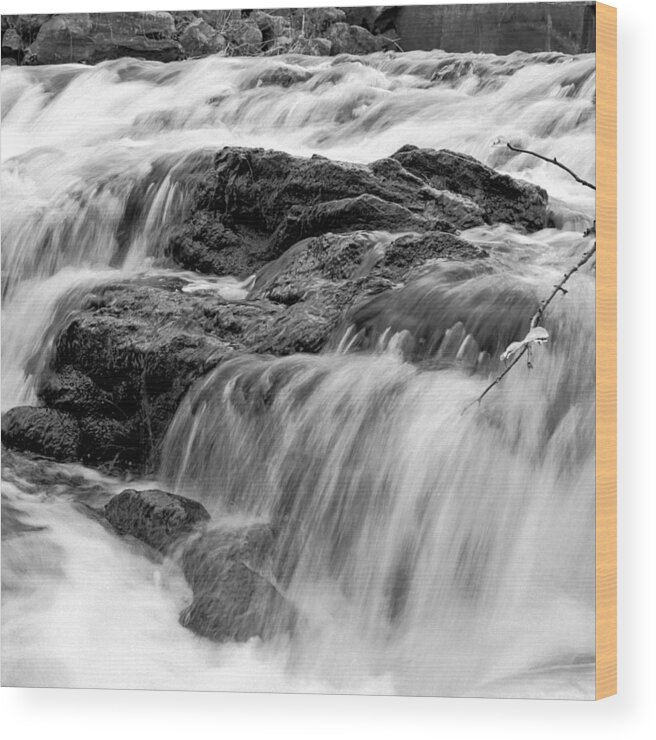 Black And White Wood Print featuring the photograph LeTort Spring 2 by John Daly