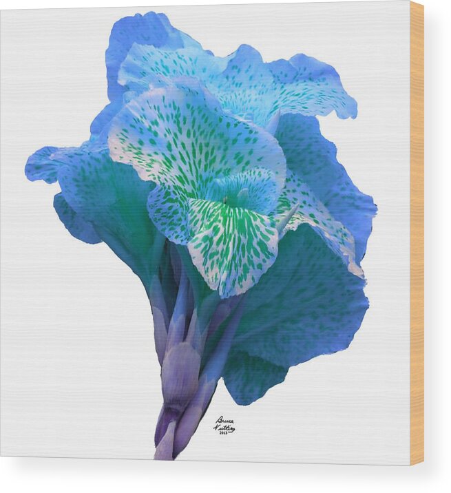 Blue Wood Print featuring the painting Light Blue Iris by Bruce Nutting