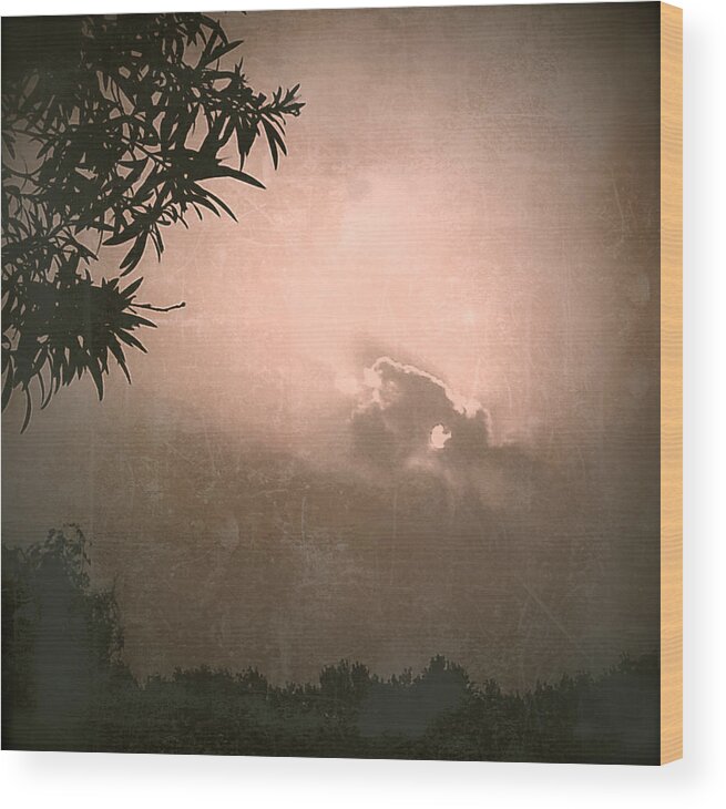Dusk Wood Print featuring the photograph Light by HweeYen Ong