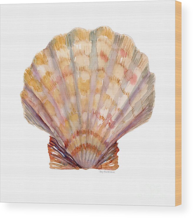 Shell Wood Print featuring the painting Lion's Paw Shell by Amy Kirkpatrick