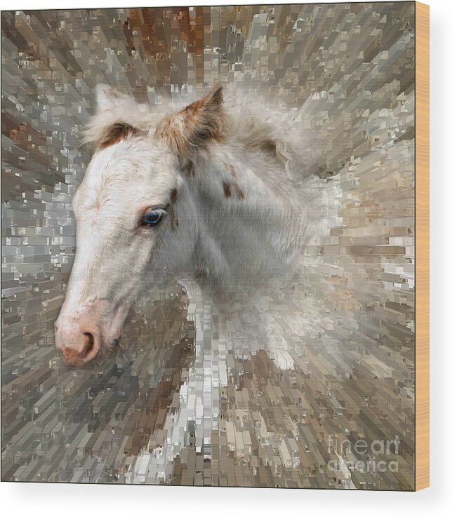 Horse Wood Print featuring the photograph Little Blue Eye by Liz Alderdice