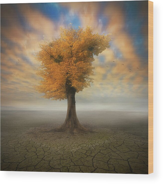 Tree Wood Print featuring the photograph Lonesome by Piotr Krol (bax)