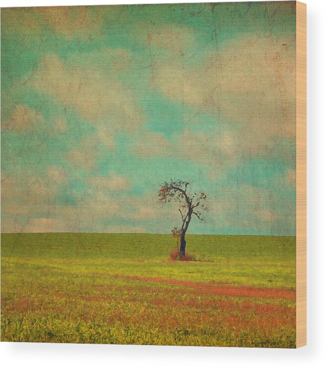 Aqua Wood Print featuring the photograph Lonesome Tree in Lime and Orange Field and Aqua Sky by Brooke T Ryan