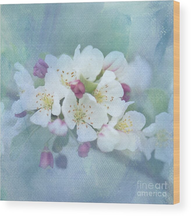 Crabapples Wood Print featuring the photograph Love Is In The Air by Betty LaRue