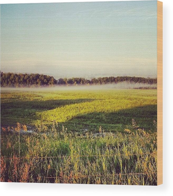 Fog Wood Print featuring the photograph Low Layer Of Morning Fog by Aaron Kremer