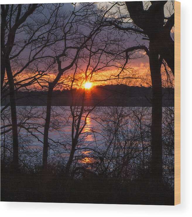 Lowell Holly Wood Print featuring the photograph Lowell Holly Sunset by Frank Winters