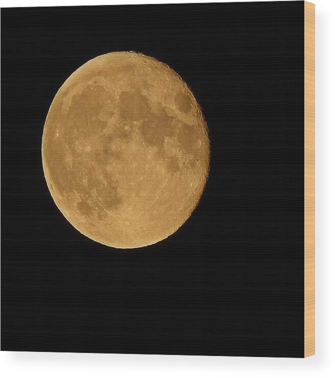 Moon Wood Print featuring the photograph Luna by Maria Lamb