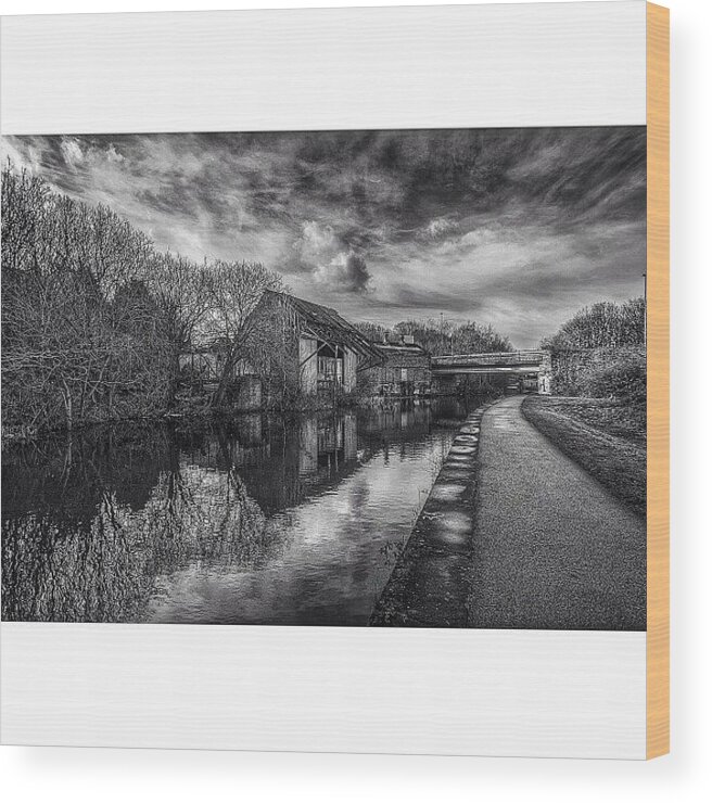  Wood Print featuring the photograph Lunchtime Walk Along A Winter Canal by Carl Milner