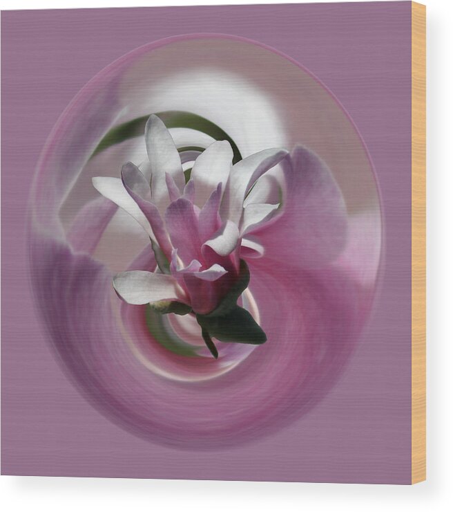 Flowers Wood Print featuring the photograph Magnolia Blossom Series 708 by Jim Baker