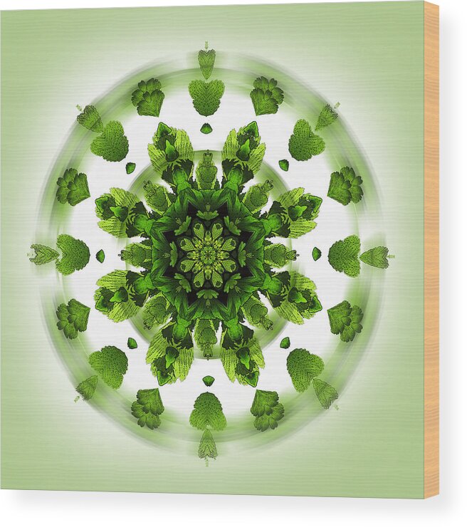 Green Wood Print featuring the digital art Maidenhair Fern Mandala by Deborah Smith
