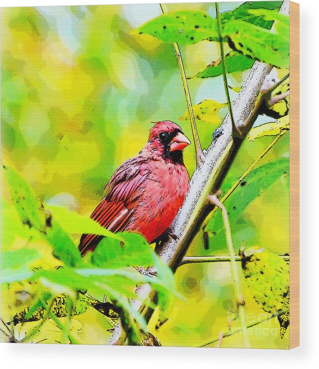 Male Cardinal Wood Print featuring the photograph Male Cardinal - Artsy by Kerri Farley