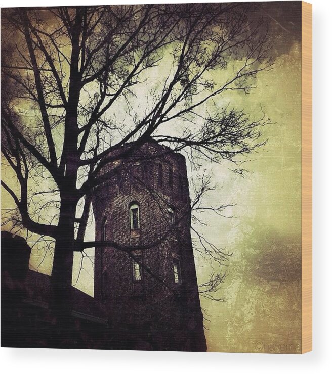 Ampt_community Wood Print featuring the photograph Medieval Queens by Natasha Marco