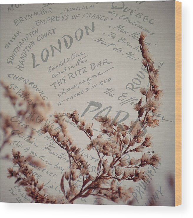 London Wood Print featuring the photograph Meet Me In Paris by Trish Tritz