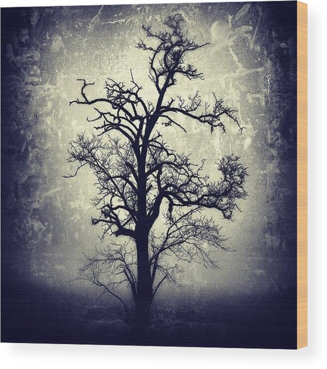 Lonely Wood Print featuring the photograph #mgmarts #all_shots #instahub by Marianna Mills