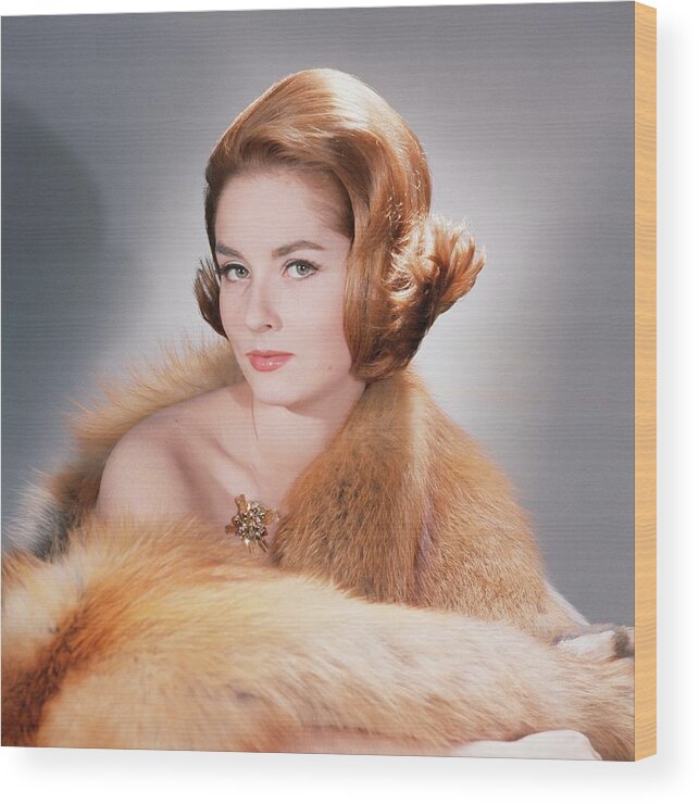 Studio Shot Wood Print featuring the photograph Model Wearing Fur Stole And Gold Brooch by Horst P. Horst