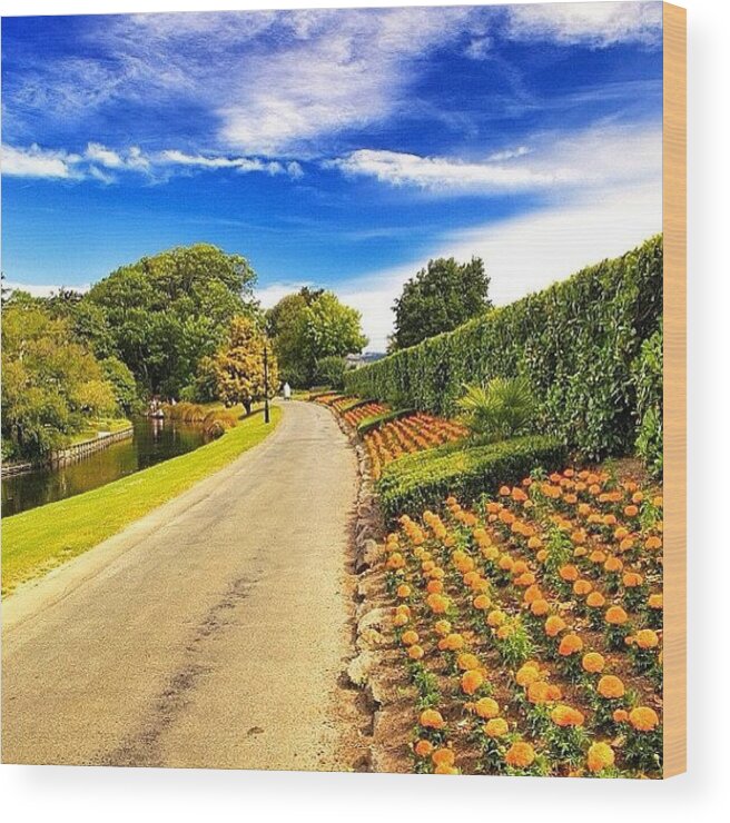 Instago Wood Print featuring the photograph Mona Vale, With Its Homestead Formerly by Tommy Tjahjono