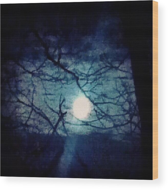 Skyline Wood Print featuring the photograph Moon Framed By Tree Branches by Genevieve Esson