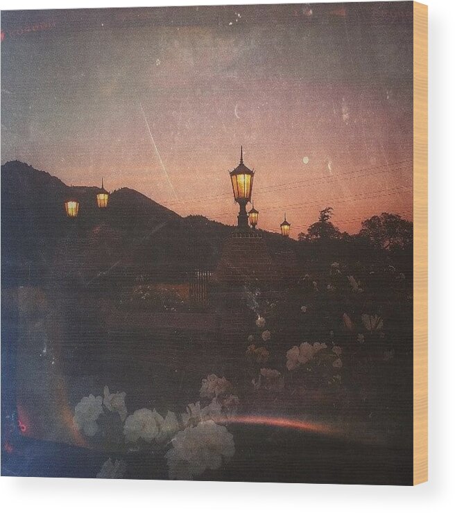  Wood Print featuring the photograph Moon Rise At Ledson Winery by CML Brown