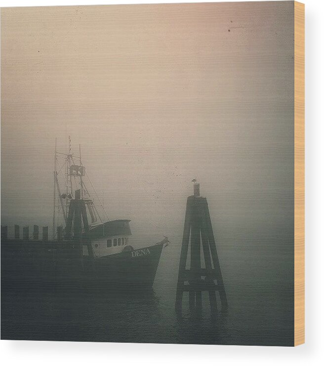 Boat Wood Print featuring the photograph Moored II by CML Brown