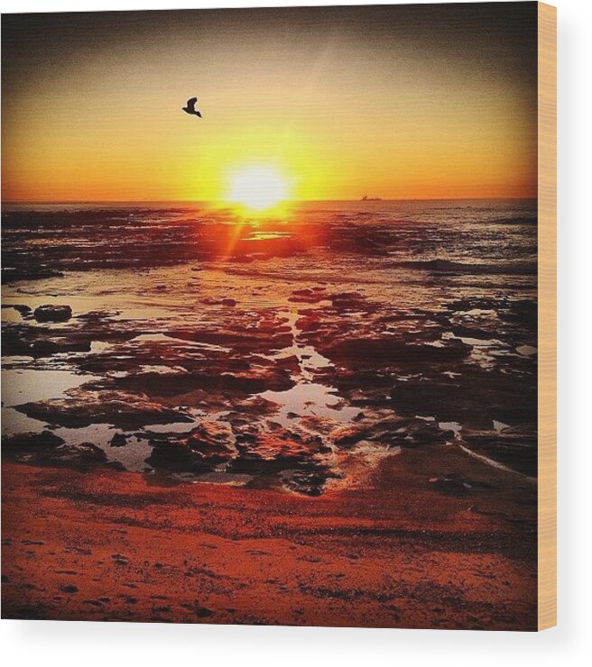  Wood Print featuring the photograph Morning Peeps :) Rather Maroon Sunrise by Pip Port