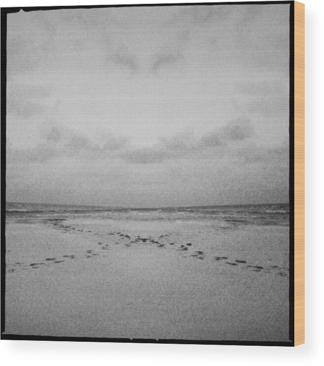 Siesta Key Wood Print featuring the photograph Mystical Siesta III by Alison Maddex