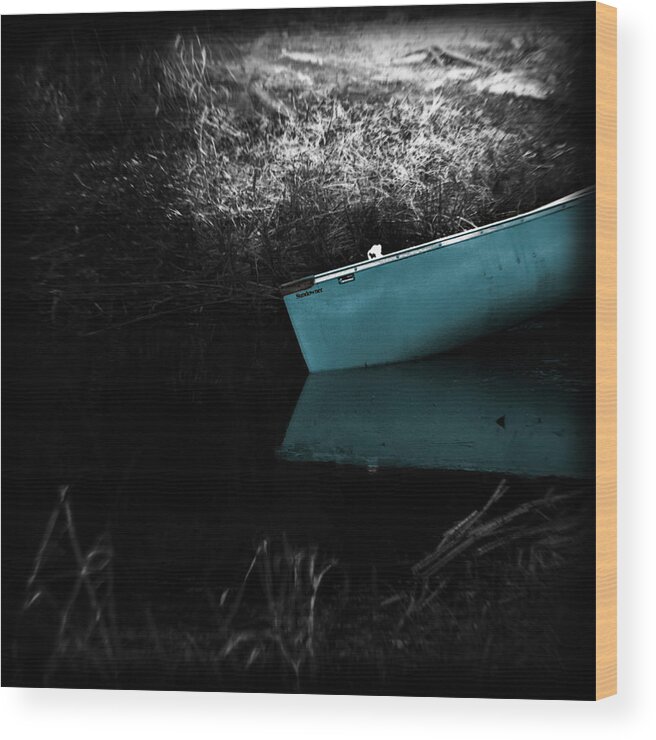 Lake Wood Print featuring the photograph Mystique by Trish Mistric