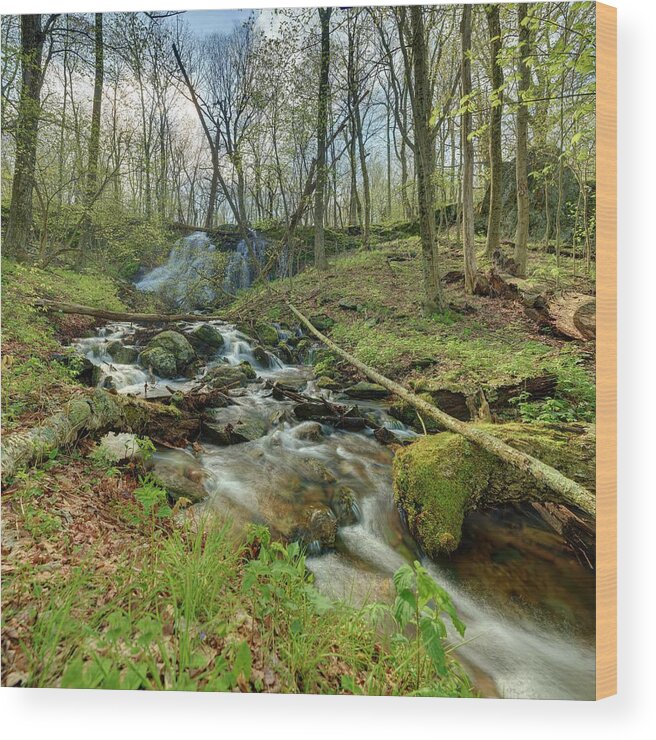 Metro Wood Print featuring the photograph Naked Creek Falls by Metro DC Photography