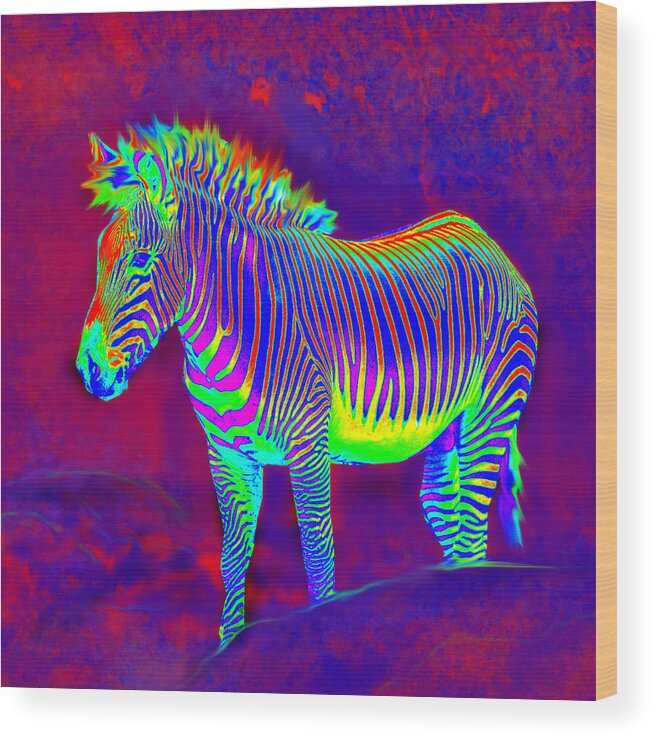 Jane Schnetlage Wood Print featuring the painting Neon Zebra by Jane Schnetlage