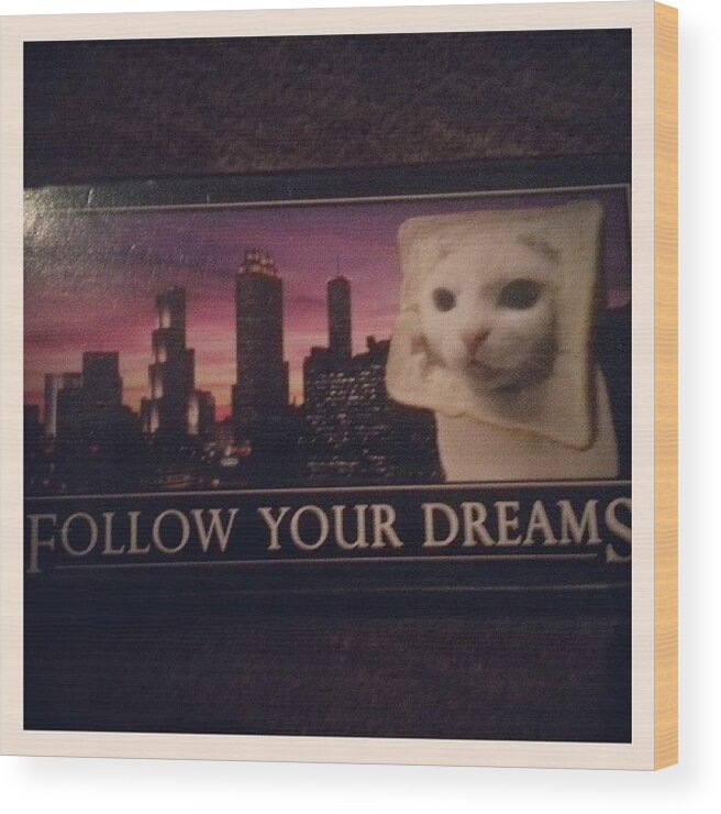  Wood Print featuring the photograph New Motivational Speaker On The Box Of by Agnieszka Furtak