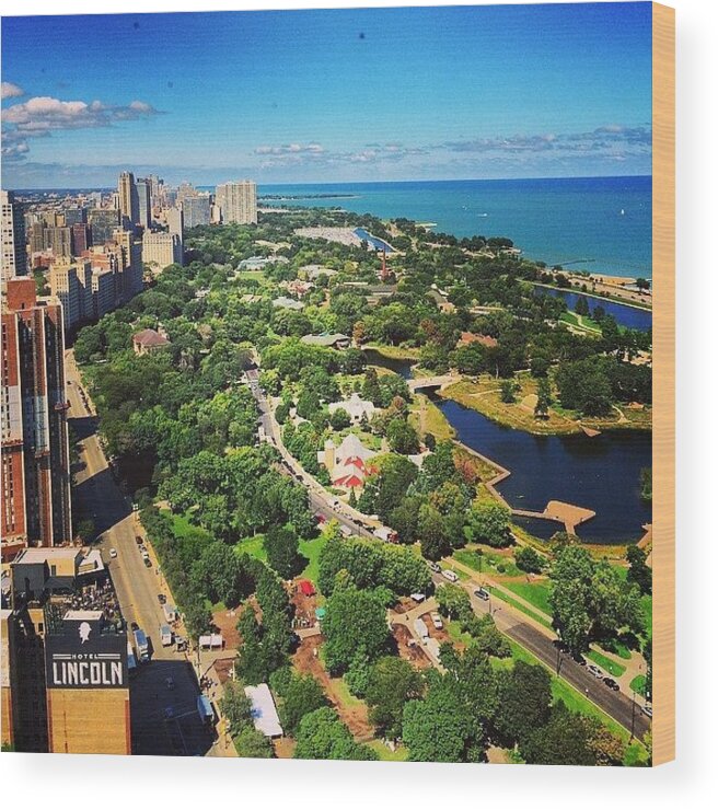 Lakemichigan Wood Print featuring the photograph Nice #chicago Day. Glad I Learned What by Jennifer Gaida