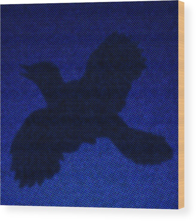 Bird Wood Print featuring the painting Night Bird by Steve Fields